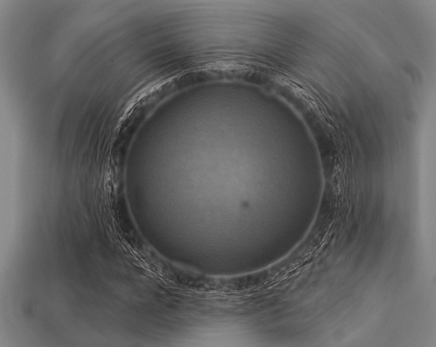 X0000113340920200909151128