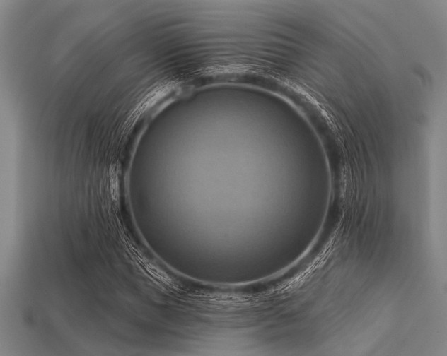 X0000113340921200909151128