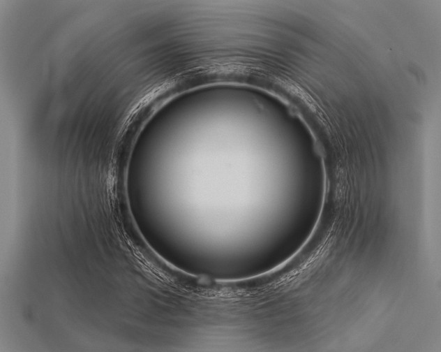 X0000113340922200909151128