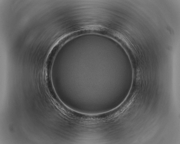 X0000113340923200909151128
