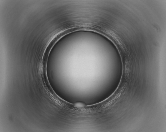 X0000113340924200909151128