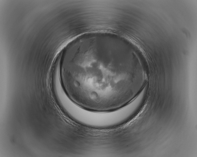 X0000113340925200909151128