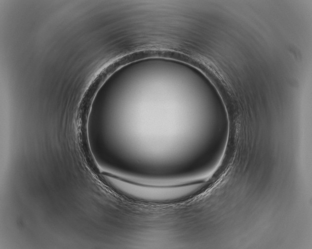 X0000113340926200909151128
