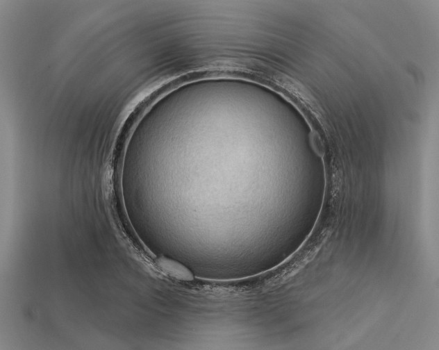 X0000113340928200909151128