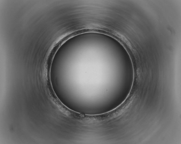 X0000113340931200909151128
