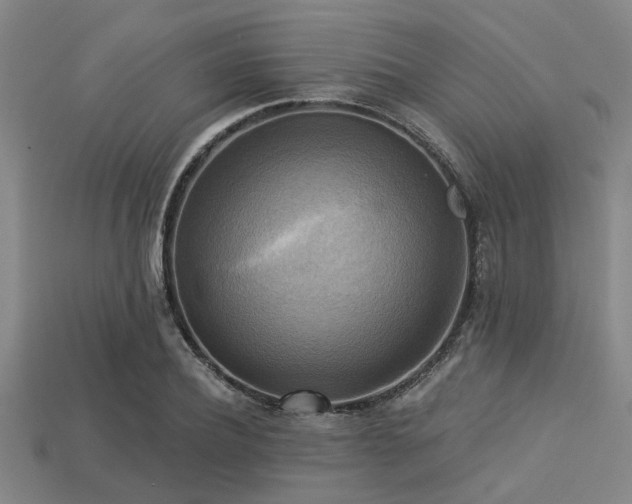 X0000113340932200909151128