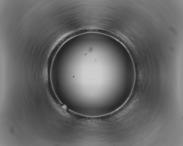 X0000113340934200909151128
