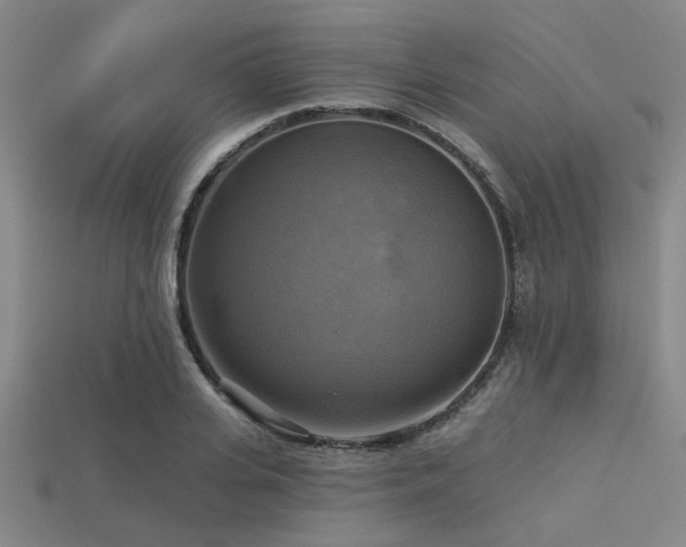 X0000113340935200909151128