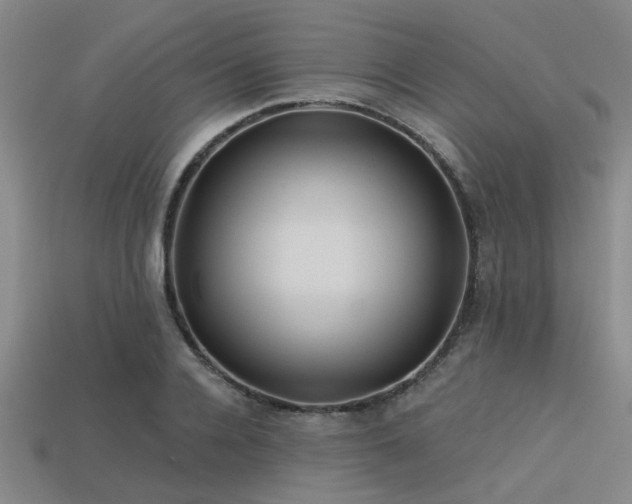 X0000113340936200909151128