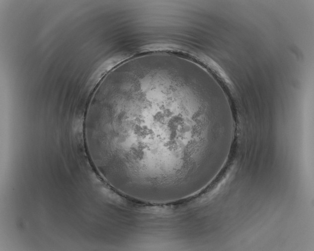 X0000113340937200909151128