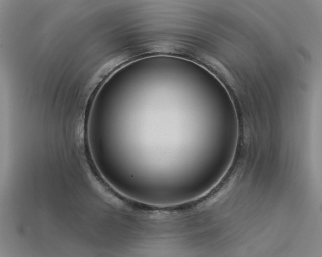 X0000113340938200909151128