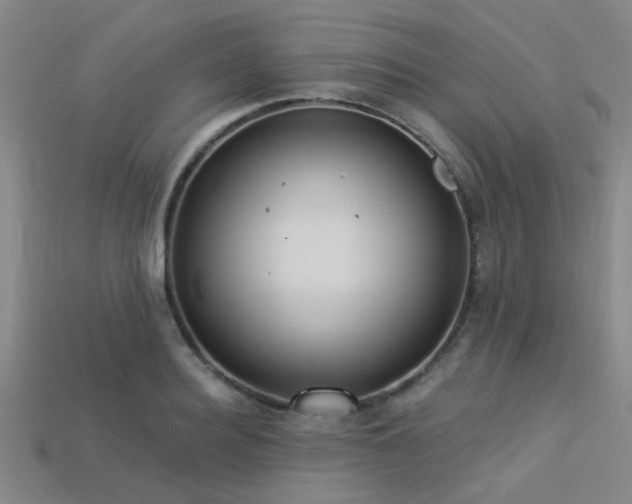 X0000113340940200909151128