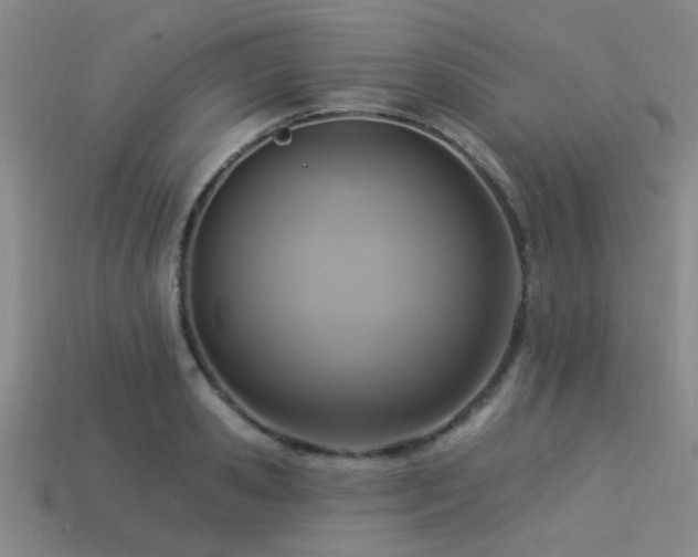 X0000113340941200909151128