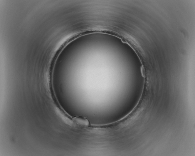 X0000113340942200909151128