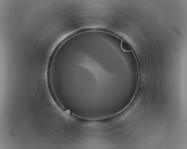 X0000113340943200909151128