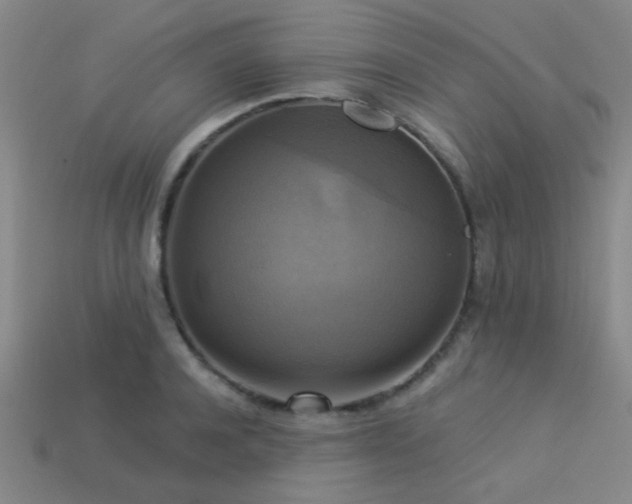 X0000113340944200909151128