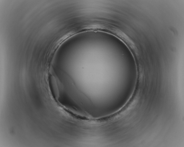 X0000113340945200909151128