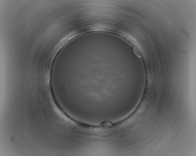 X0000113340946200909151128