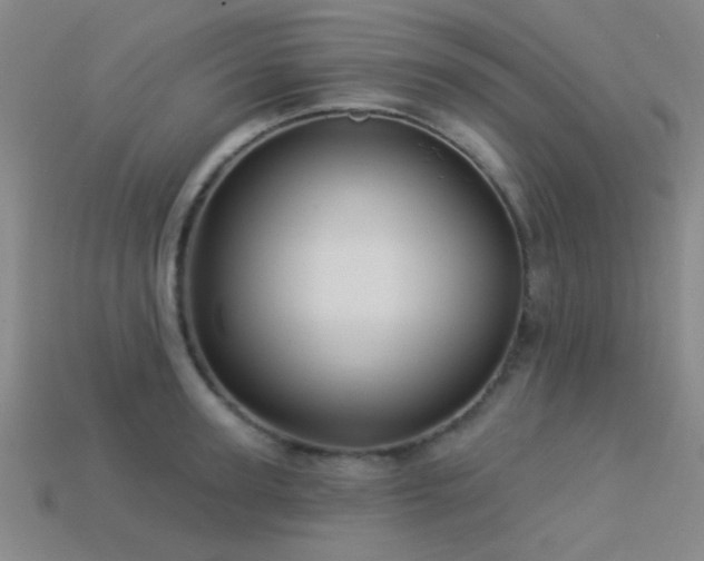 X0000113340947200909151128