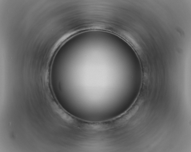 X0000113340948200909151128