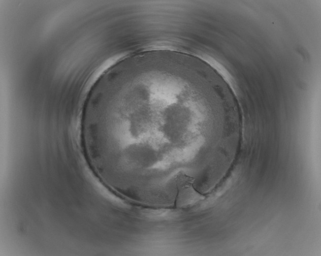 X0000113340949200909151128