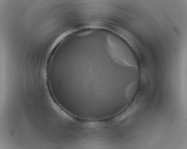 X0000113340950200909151128
