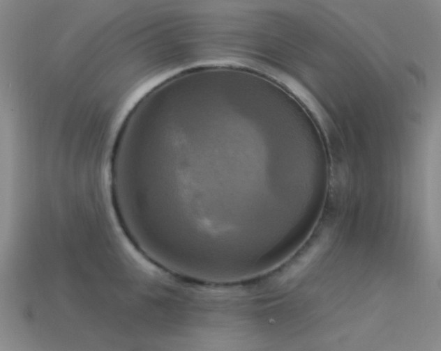 X0000113340951200909151128