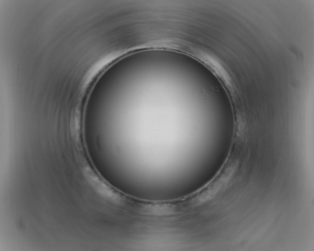 X0000113340952200909151128