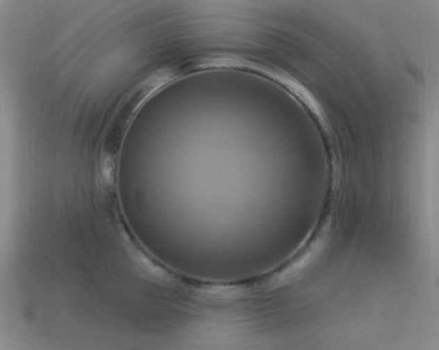 X0000113340953200909151128