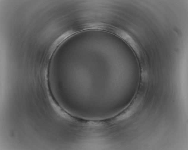 X0000113340954200909151128