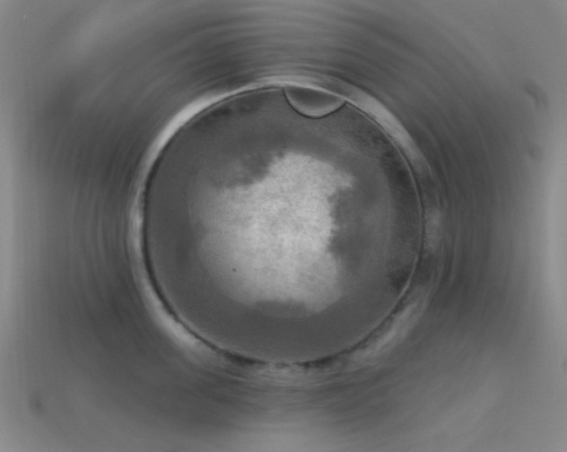 X0000113340955200909151128