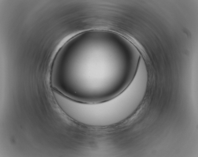 X0000113340956200909151128
