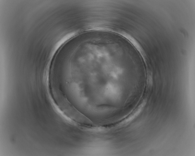 X0000113340957200909151128