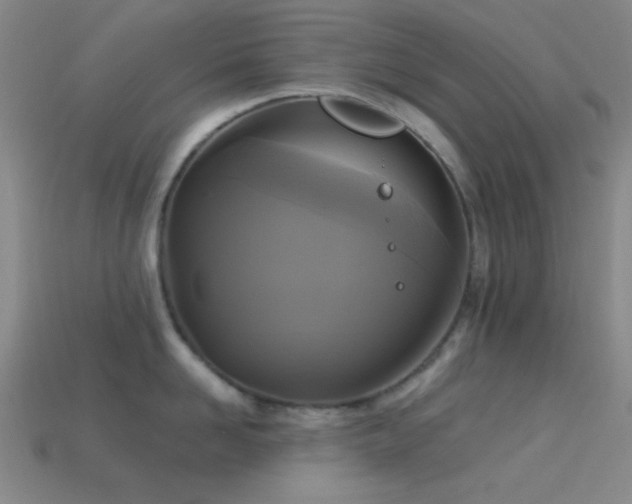 X0000113340958200909151128