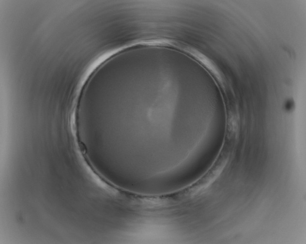 X0000113340959200909151128