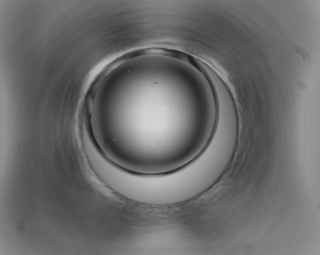 X0000113340960200909151128