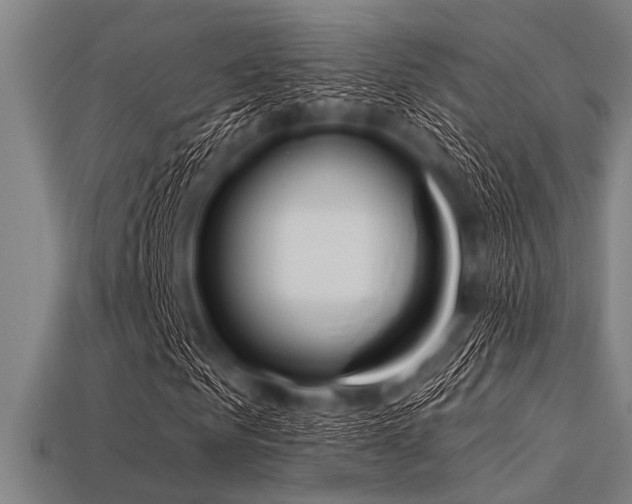 X0000113340961200909151128