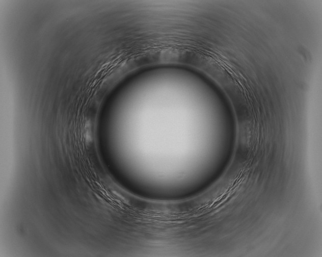 X0000113340962200909151128