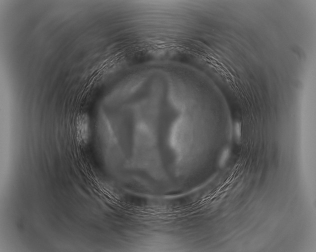 X0000113340963200909151128