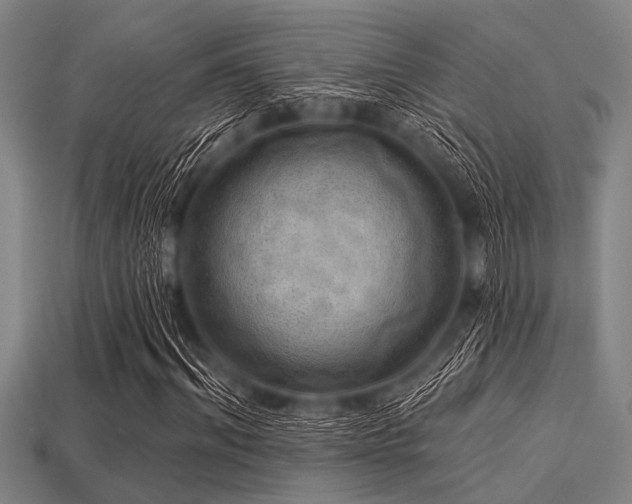 X0000113340964200909151128