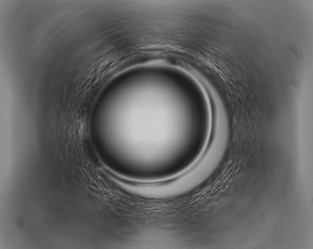 X0000113340965200909151128
