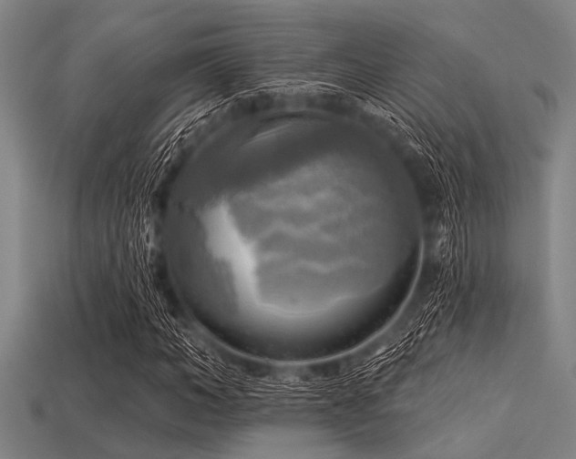 X0000113340966200909151128