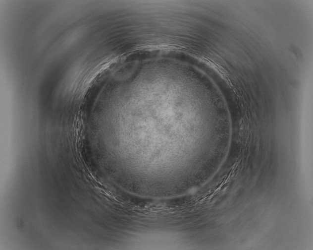 X0000113340967200909151128
