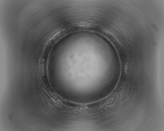 X0000113340968200909151128