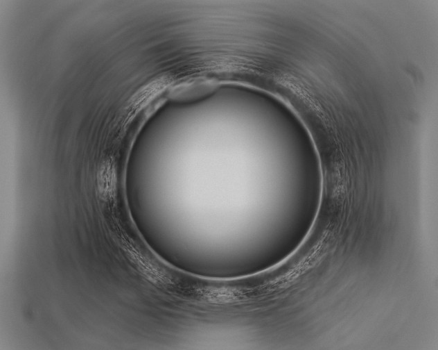 X0000113340969200909151128