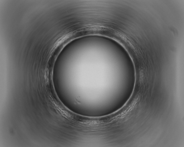 X0000113340970200909151128