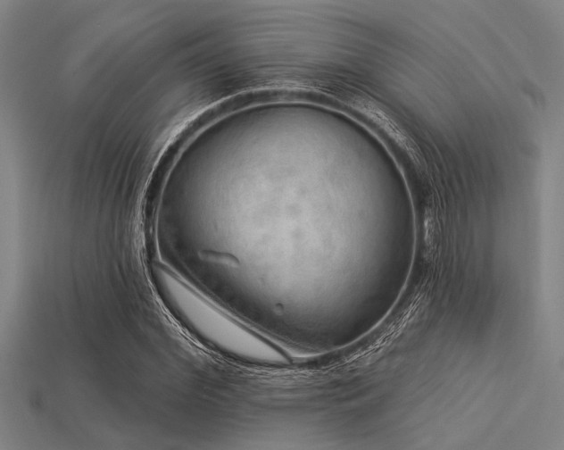X0000113340972200909151128