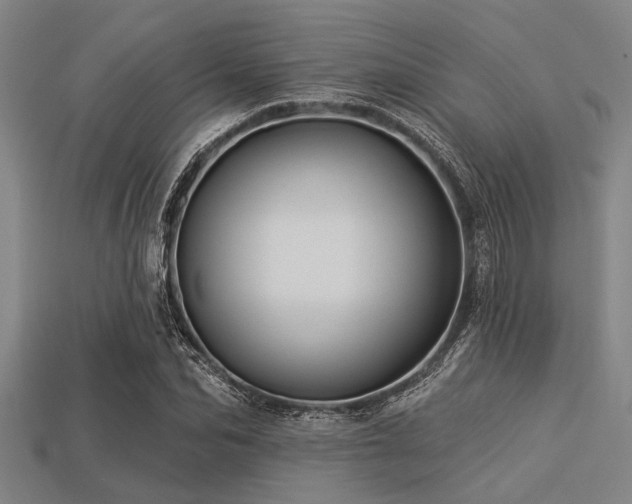 X0000113340974200909151128