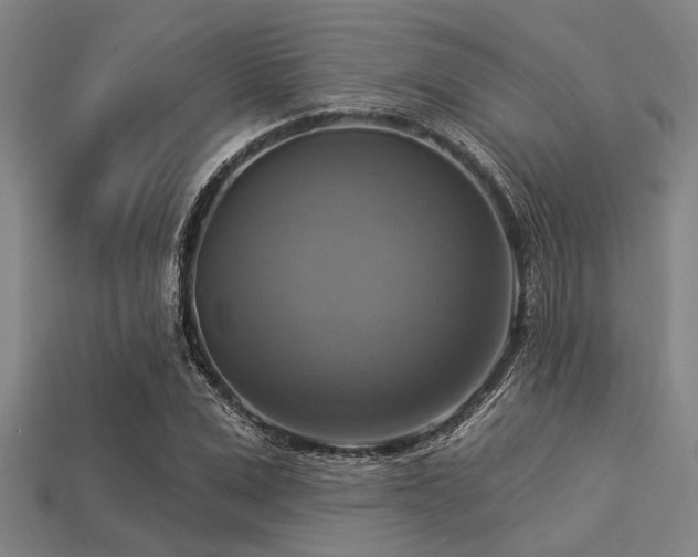 X0000113340975200909151128