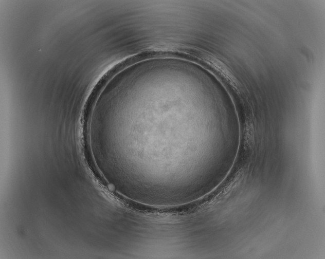 X0000113340976200909151128
